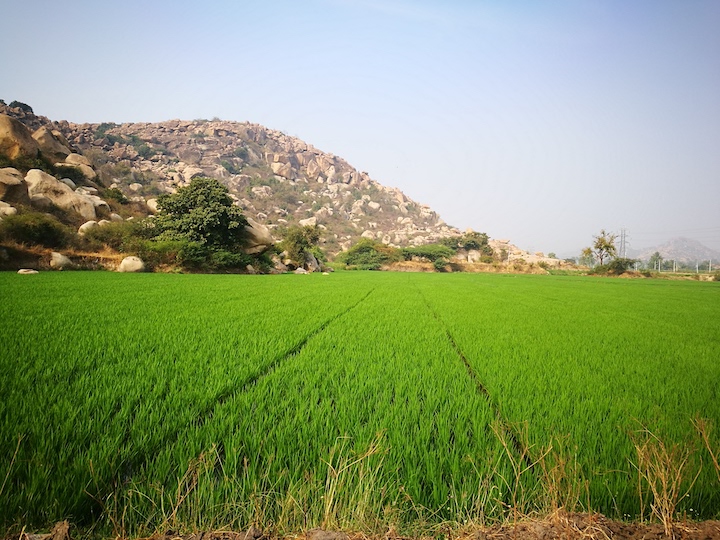 Hampi Backpacking Tour