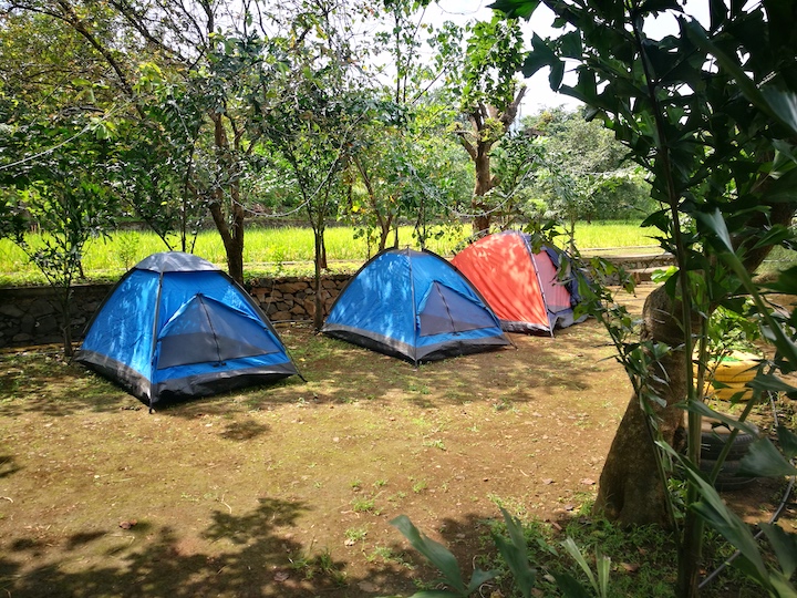 Tents at Camp